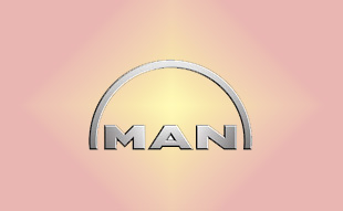 ✓ MAN SL81394 Фильтр воздушный 